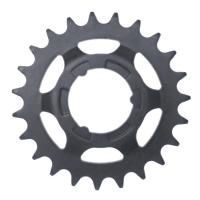 Звезда задняя Shimano, 23T (2.3мм), черн
