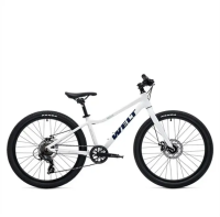 Велосипед Welt Moovix 1.0 MD 24 2027