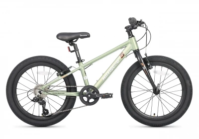 Велосипед Maxiscoo 5BIKE M200 20'' Хаки (2025)