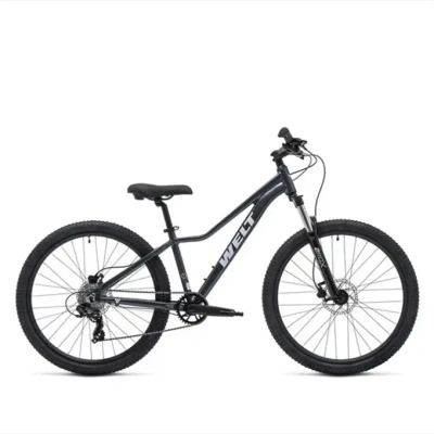 Велосипед Welt Bianca 26 MD 2027 Calm Grey
